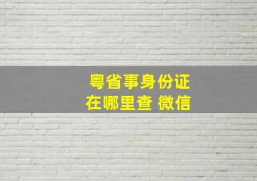 粤省事身份证在哪里查 微信